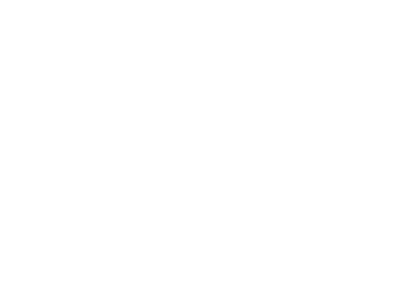 NCNSTONE